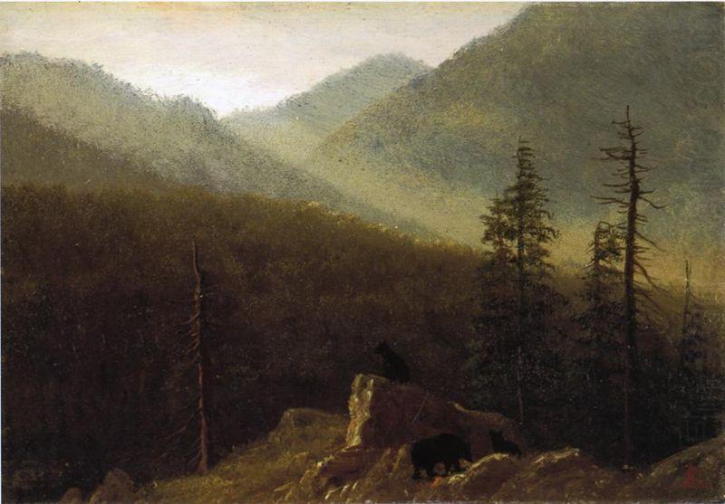 Albert Bierstadt Bears in the Wilderness china oil painting image